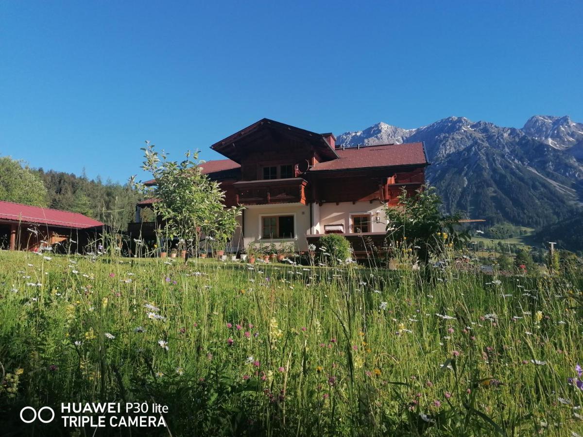 Landhaus Bellevue رامساو أم داتشستين المظهر الخارجي الصورة